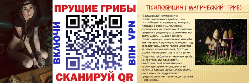 Галлюциногенные грибы Psilocybe хочу наркоту Копейск